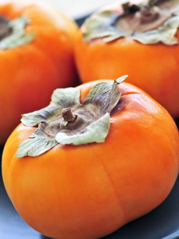 Alternative view of American Persimmon Tree (diospyros virginiana)