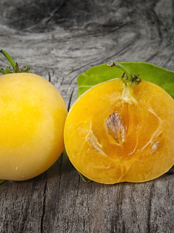 Alternative view of Kei Apple Tree (dovyalis caffra)