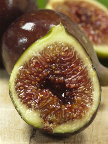 Alternative view of Sweet Magnolia Fig Tree (ficus carica)