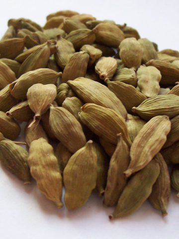 Alternative view of True Cardamom Ginger Plant (elettaria cardamomum)