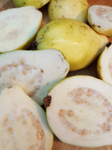 Alternative view of Mexican Cream Guava Tree (psidium guajava)